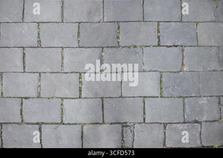 Well-preserved old cobblestone with well-aligned gray rectangular stone slabs with soil and plants between the joints. Top view. Stock Photo