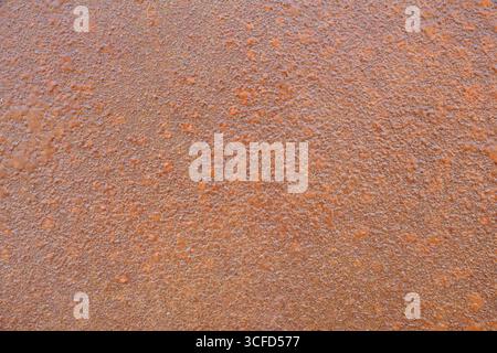 Detail of a rusty metal door with rough but uniform brown tones. Front view. Stock Photo