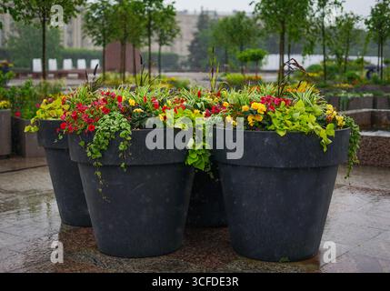 Outdoor Floral Planters Displaying Vibrant Blooms in Urban Setting Stock Photo