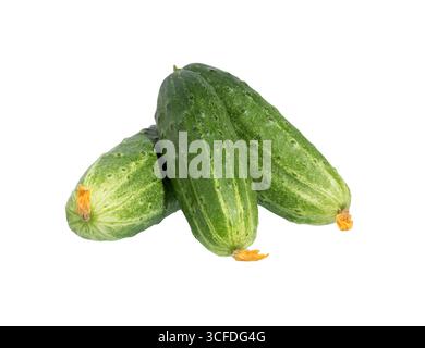 Cucumbers isolated on white background.  with clipping path Stock Photo