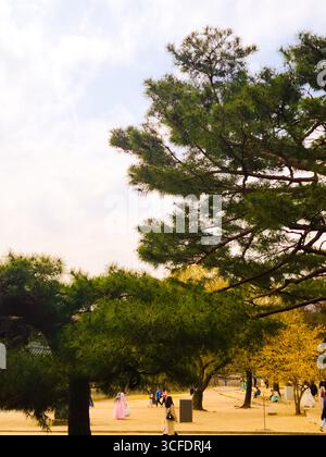 Seoul, South Korea - March 30, 2024: Gyeongbokgung Palace, courtyard Stock Photo