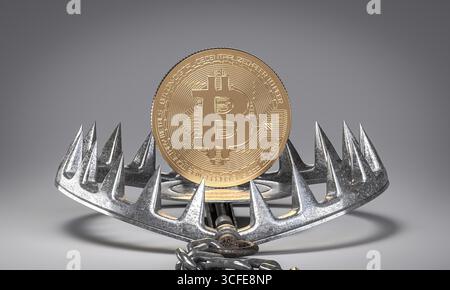 Gold bitcoin 3d bear trapdangers investing Stock Photo