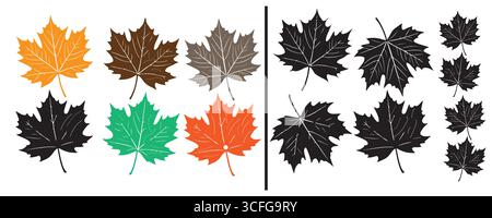 Autumn Leaves Set – Colorful Fall Foliage Collection in Vector Stock Vector