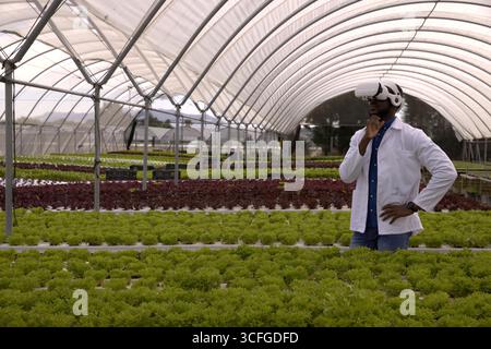 African american man exploring hydroponic troughs in greenhouse with vr headset, copy space Stock Photo