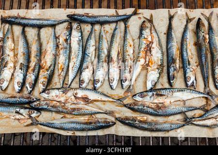 A lot of mackerel lies on parchment paper and is grilled. Stock Photo