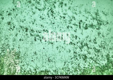 Blurred abstract grungy green background. Stock Photo