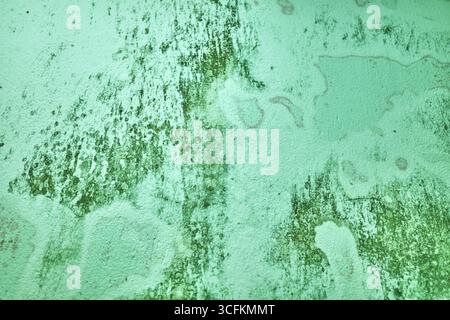 Blurred abstract grungy green background. Stock Photo