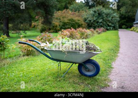 Wheelbarrow filled with mulch and compost made from leaves and organic matter in garden. Zero waste Stock Photo