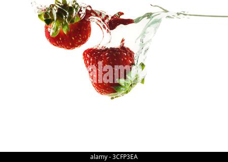 Still life of two strawberries immersed in water, isolated on white. Stock Photo
