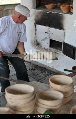 Baker placing raw dough loaves into traditional oven during Bread Festival in Dźwiniacz Dolny, Podkarpackie, Poland Stock Photo