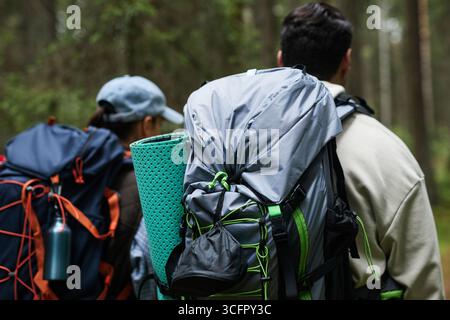 Back view of young adult Asian man and young adult Caucasian woman hiking in forest carrying large backpacks and camping gear, walking together on trail surrounded by trees Stock Photo
