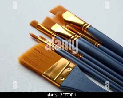Set of various artist paintbrushes arranged on a blank canvas surface, showcasing golden ferrules and wooden handles. Perfect for creative concepts Stock Photo