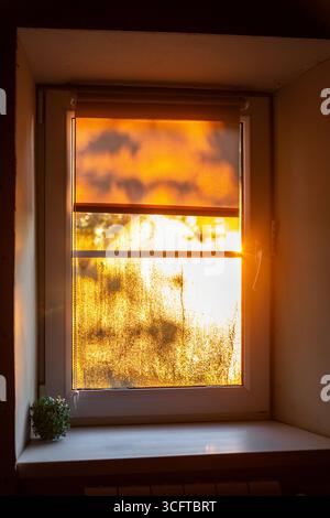 Warm sunlight streams through a window covered in condensation and partially covered by a roller blind. Stock Photo
