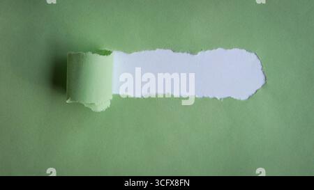 Hole ripped in green paper on white background. Copy space. Stock Photo