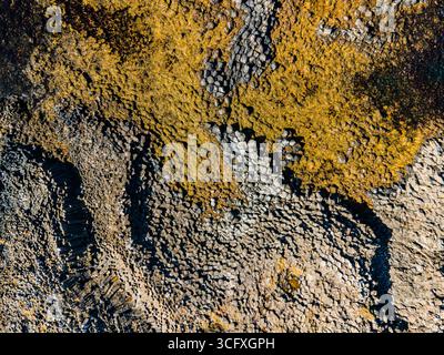 Aerial view of moss-covered basalt columns creating a textured tapestry of gold and grey, revealing Iceland's volcanic geology, Kálfshamarsvík, Húnabyggð, Iceland. Stock Photo