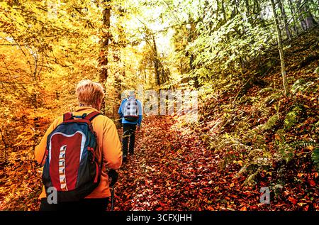senior couple hiking together through a colorful autumn forest, enjoying nature Stock Photo