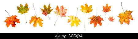 colorful autumn leaves falling, isolated on white background Stock Photo