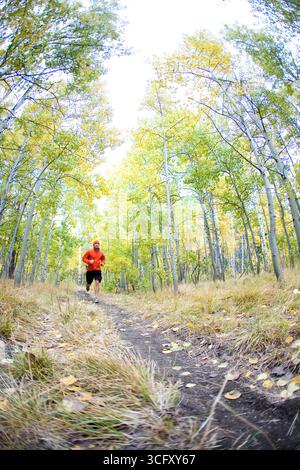 Young man trail running during fall near Fallen Leaf Lake, CA. Stock Photo