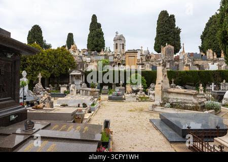 The Cimetière du Château in Nice, France, stands on the old citadel and the cemetery is as much popular for its function as for the scenic views of th Stock Photo
