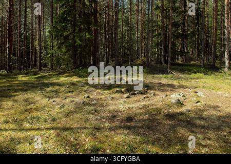 Mustasuo jatulintarha is a labyrinth pattern made of stones is located on a rocky bottom, but is badly overgrown, Miehikkälä, Finland. Stock Photo