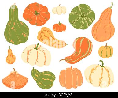 Hand-drawn collection of colorful autumn pumpkins and gourds in various shapes and textures. Seasonal botanical illustration on white background Stock Vector