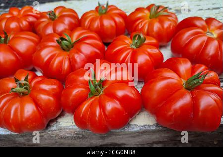 Ripe heirloom tomatoes are beautifully arranged on a rustic wooden surface, highlighting their vibrant colors and unique shapes for culinary use Stock Photo
