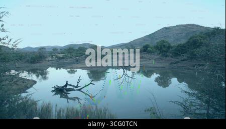Displaying fallen tree branch floating in shallow waterhole at rural savannah, with reeds and hills Stock Photo