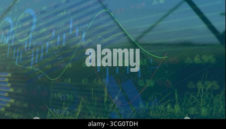 Displaying market overlay over grass field fence, showing candlestick, line graphs with index table Stock Photo
