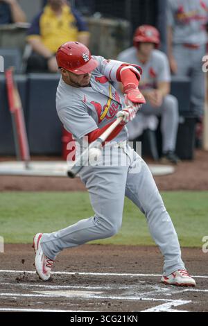 Tampa Bay Rays' Everson Pereira (45) high-fives his teammates in the