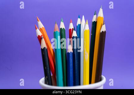 Colorful pencils standing in a white cup on a purple background, ready for creative endeavors Stock Photo