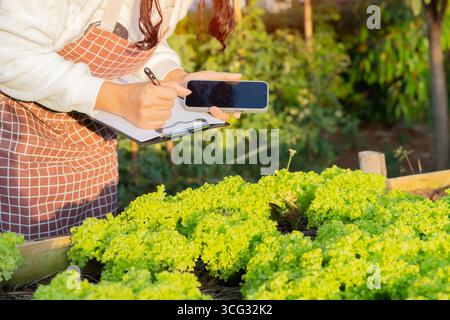 People using mobile phone in vegetable garden. Asian woman use mobile phone in farm. Technology smart farmer concept. Stock Photo