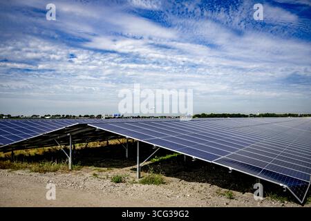 SCHIPHOL - The solar farm at Schiphol Airport doesn't have to be removed if the owner covers the panels with foil. A court previously ruled that the farm had to be removed because the sunlight reflecting off the panels could obstruct pilots' vision. ANP /HOLLANDSE HOOGTE /ROBIN UTRECHT netherlands out - belgium out Stock Photo