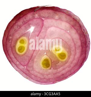 Slice of an onion isolated on white background Stock Photo