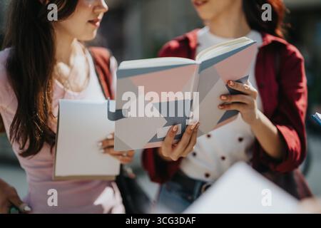 Two students discussing notes while studying together outdoors Stock Photo