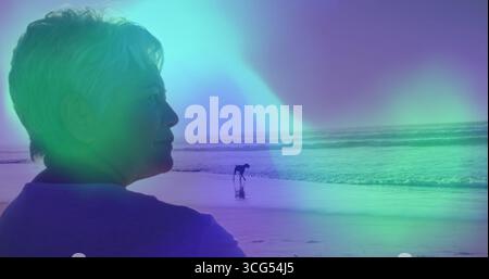 Standing senior woman gazing toward ocean horizon on wet sand beach, with small dog, copy space Stock Photo