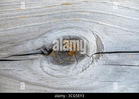 Close-up of a weathered wood plank with a central knot, fine grain lines, and light cracks across the surface. Stock Photo