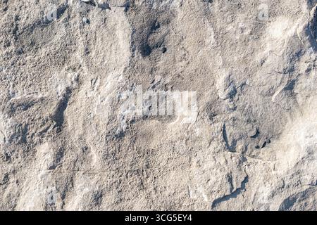 Close-up of a textured limestone rock surface with natural patterns and light shadows across its rough and uneven surface. Stock Photo