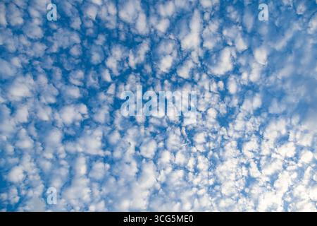 Daytime sky background with many small clouds. Stock Photo