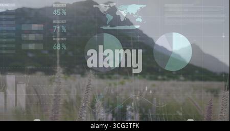 Displaying data dashboard overlay in grass meadow, with pie charts bar graphs world map percentages Stock Photo