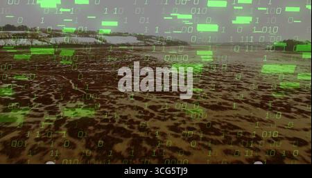 Streaming neon-green binary code overlay flowing across dry mudflat in floodplain, with data blocks Stock Photo