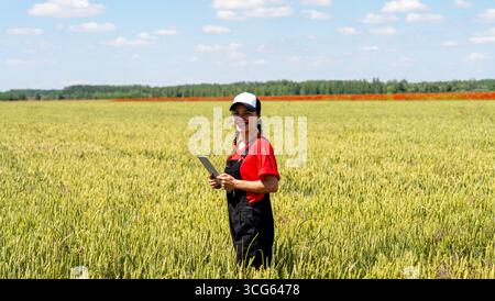 Sustainable farming concept with modern female farmer inspecting grain crops in growth phase using digital tablet Stock Photo