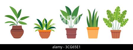 Group of green plants in flower pot. Simple flat vector design. Potted foliage for decoration of house, patio, balcony, veranda, terrace, garden, offi Stock Vector