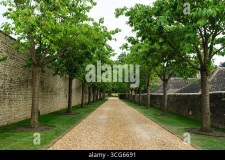 Bibury, Cotswolds, England, U.K. Tree-lined Carriageway. Stock Photo