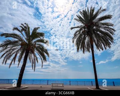 Seascape of blue sea with palm trees against a blue sky with clouds and an airplane, seen from the Promenade des Anglais on baie des Anges in Nice, Fr Stock Photo