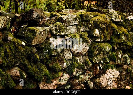 Large pebbles boulder rubble bowlder covered with green moss, stone texture background Stock Photo