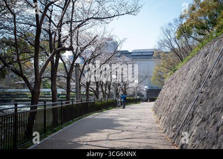Cherry Blossom Pathway with Cyclist in Osaka, Japan. Tree-lined walkway with cherry blossoms and cyclist near stone wall in Osaka. Stock Photo