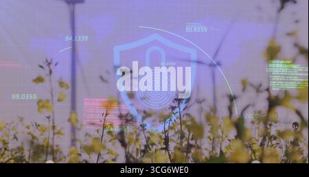 Displaying stylized blue shield with fingerprint over meadow at dusk with numeric metrics and code Stock Photo