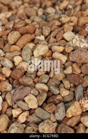closeup of pebble walkway background Stock Photo