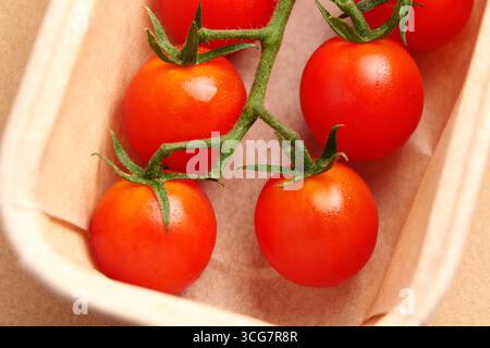 Sprig of red cherry tomatoes with green leaves in supermarket paper pack. Macro shot. Top view. Stock Photo