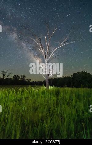 Milky Way rising over a rare flat field near Edgar Springs, Missouri—an unusual Ozarks landscape perfect for stargazing. Stock Photo
